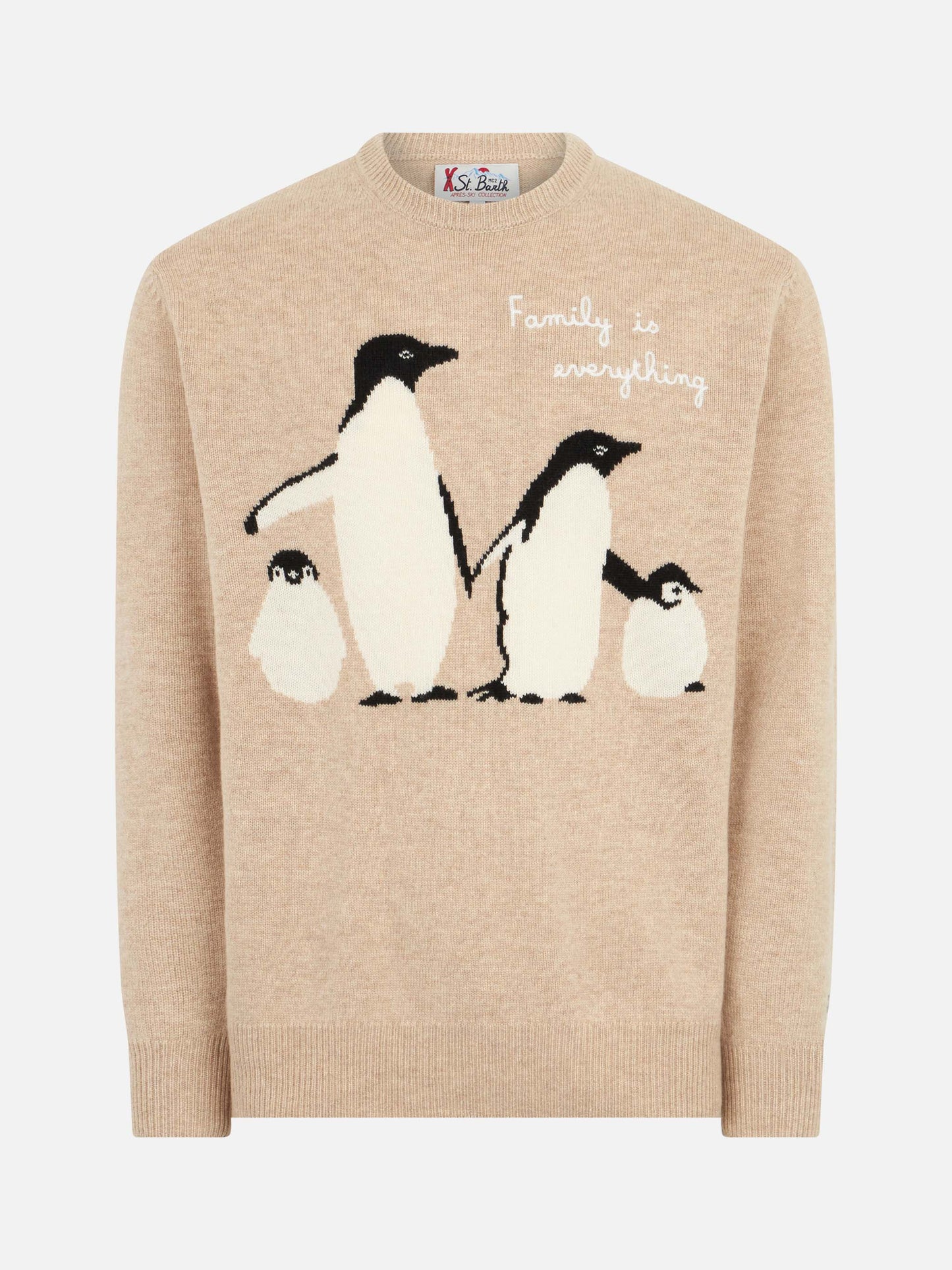 Crewneck sweater with penguins print and Family is everything embroidery