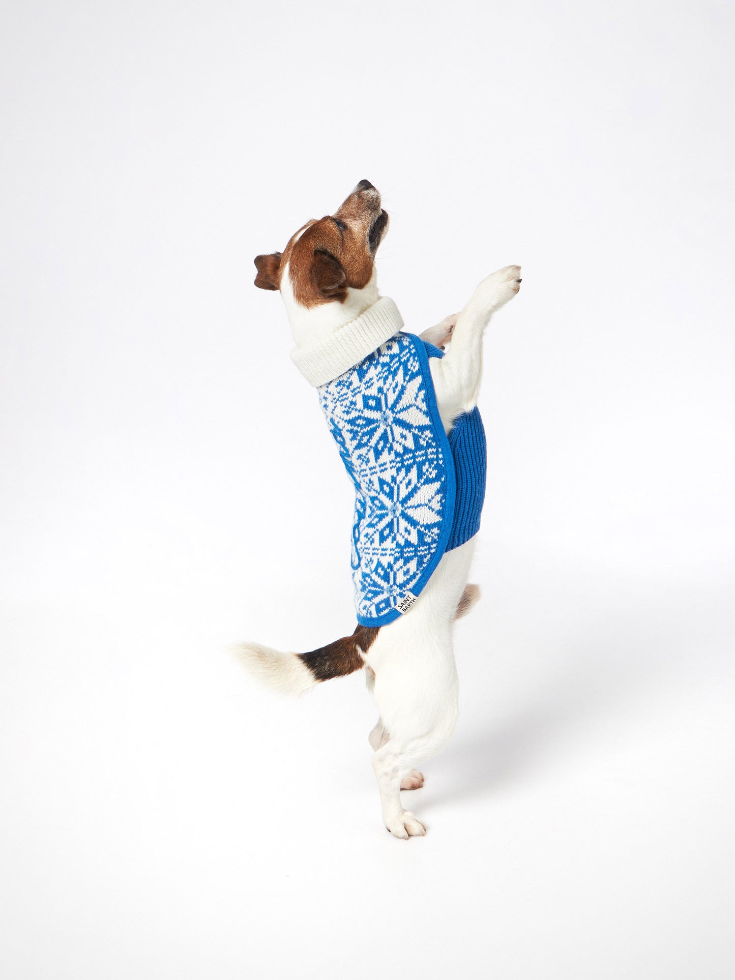 Dog sweater with nordic jacquard - MC2 Saint Barth