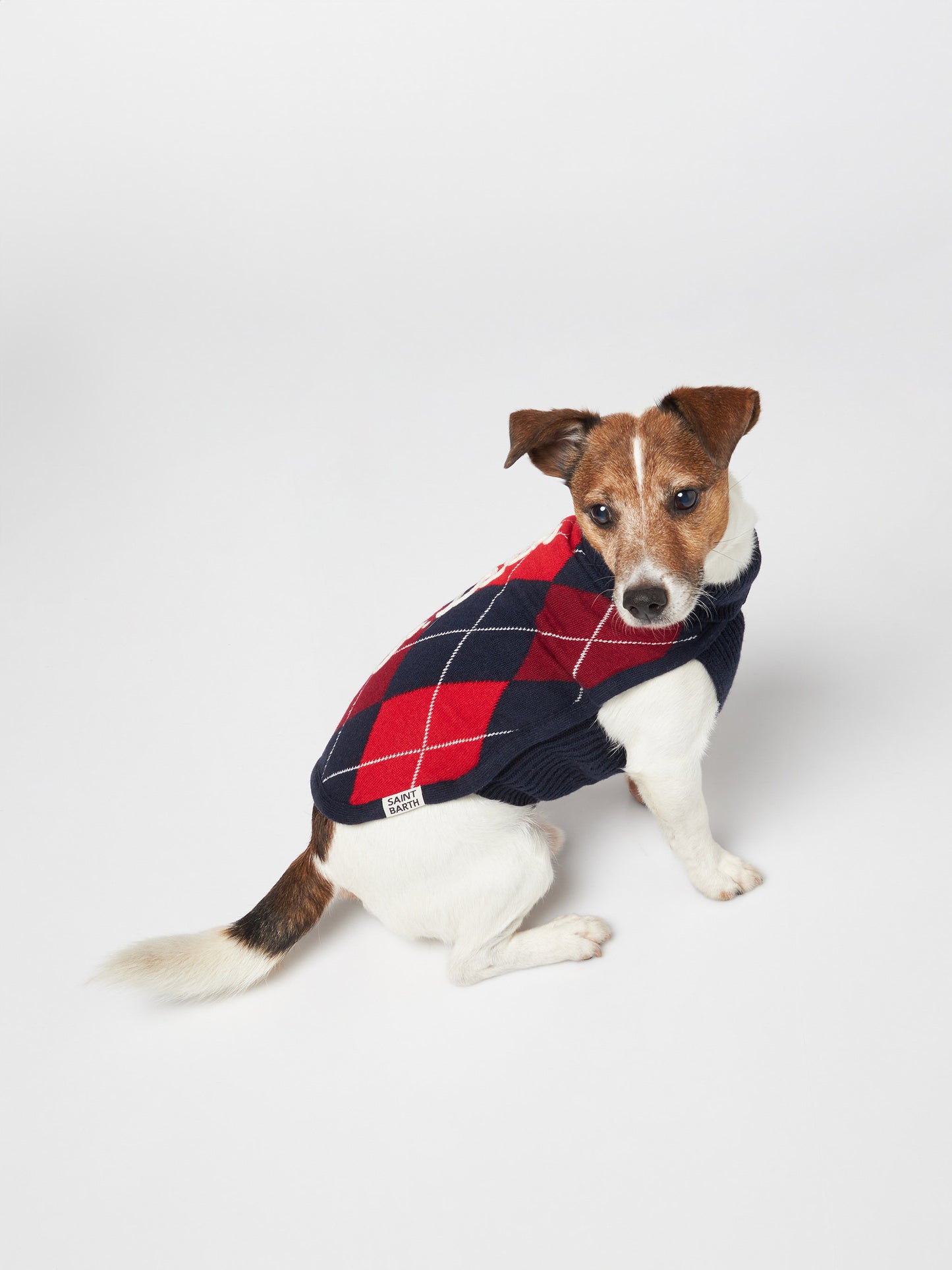 Dog sweater with argyle print - MC2 Saint Barth