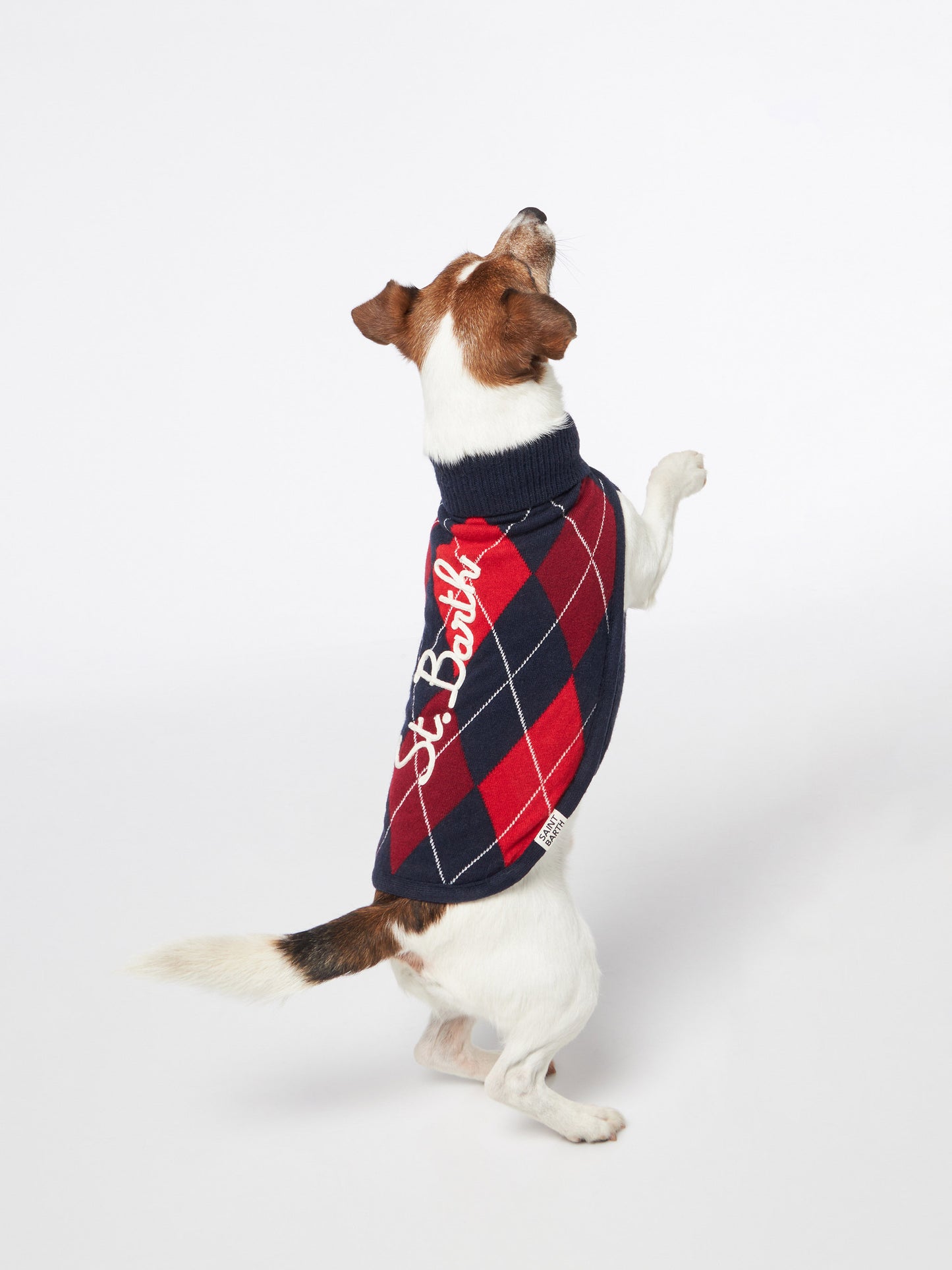 Dog sweater with argyle print - MC2 Saint Barth