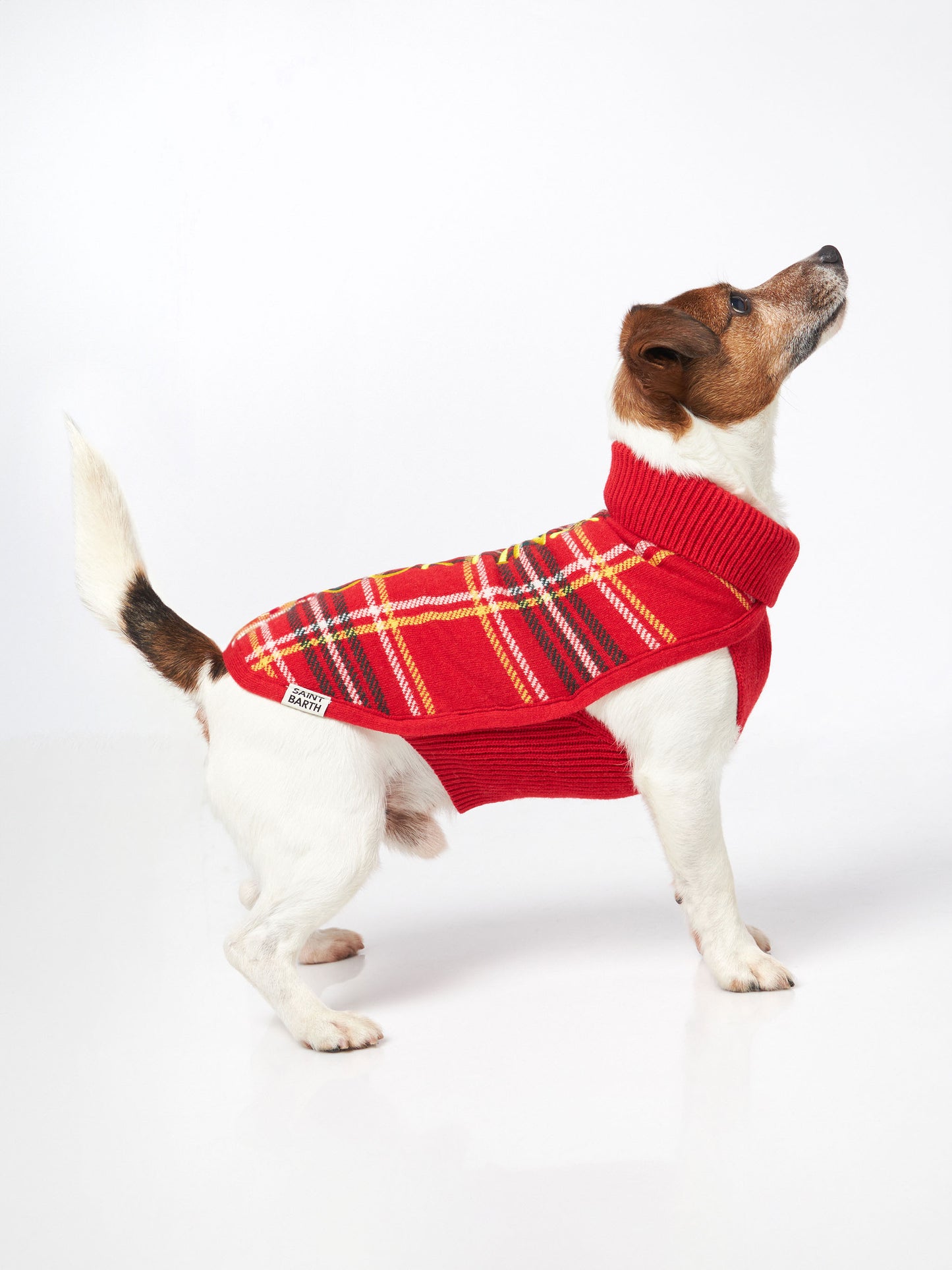 Dog sweater with tartan print - MC2 Saint Barth