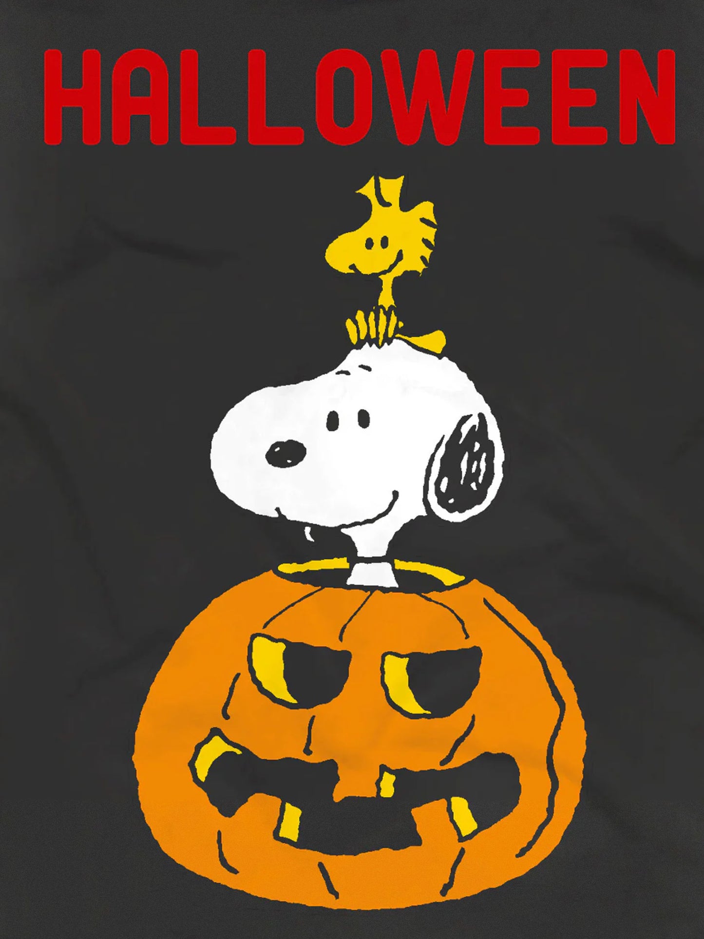 T-shirt da uomo in cotone pesante con stampa Halloween | SNOOPY - EDIZIONE SPECIALE PEANUTS™