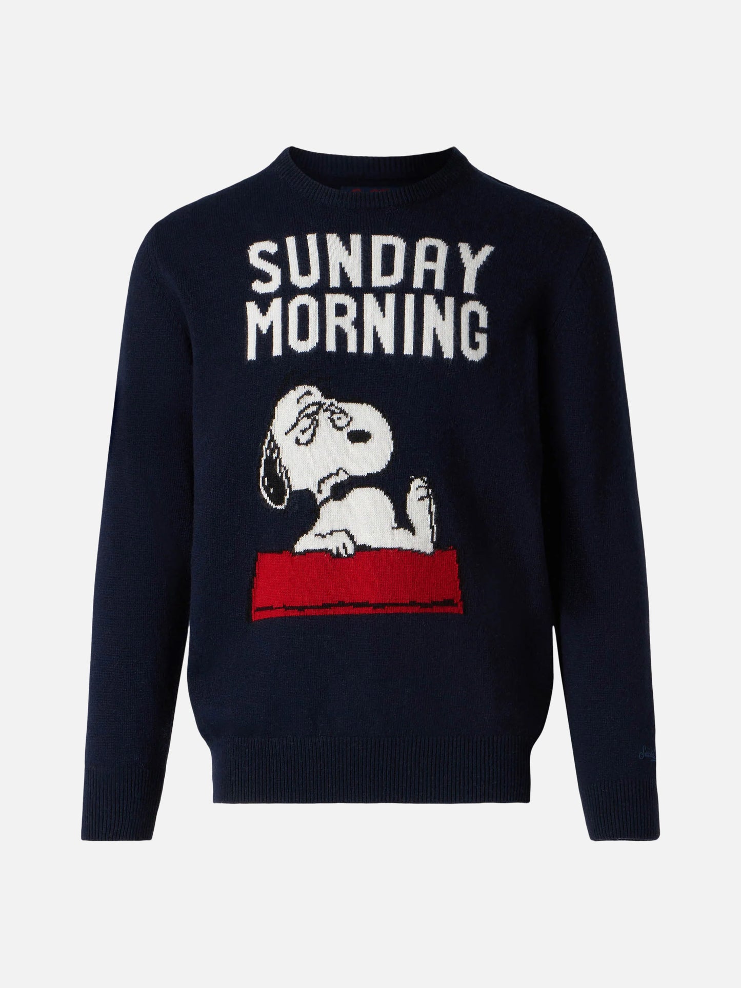 Crewneck sweater Heron with Snoopy jacquard | SNOOPY - PEANUTS™ SPECIAL EDITION