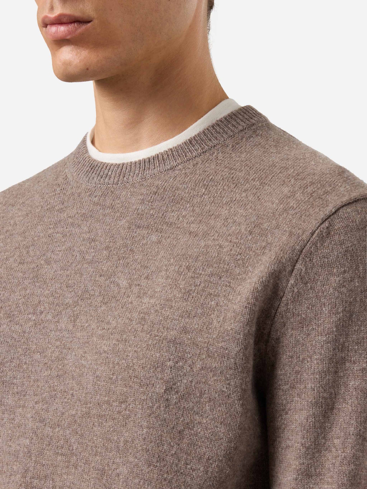 Regent 100% lambswool sweater in nut brown