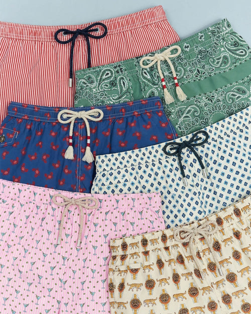 Men Print & Graphic Swim Shorts