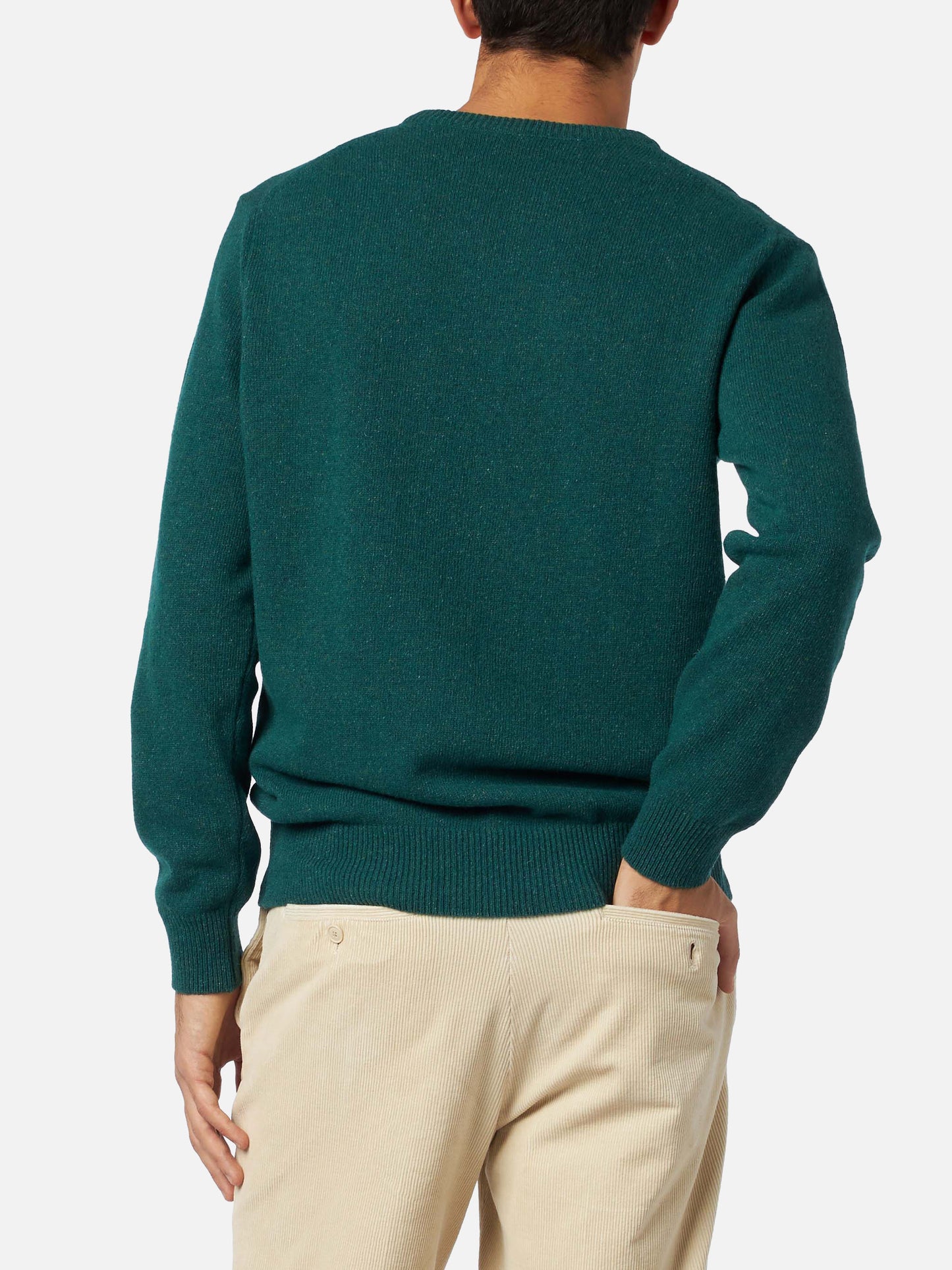 Man crewneck donegal sweater with country dog jacquard