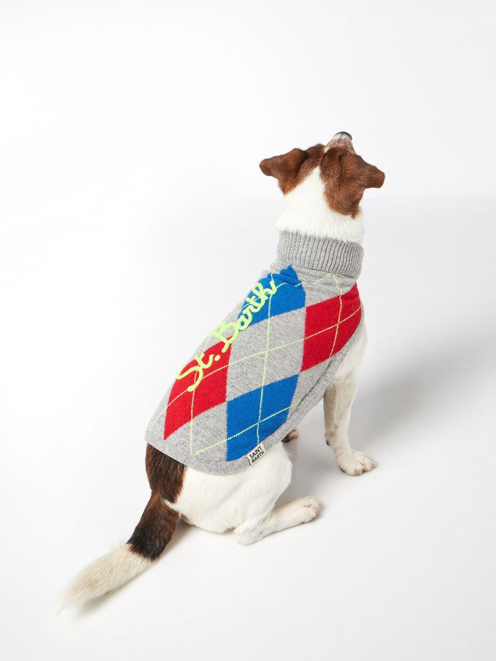 Dog sweater with argyle print - MC2 Saint Barth
