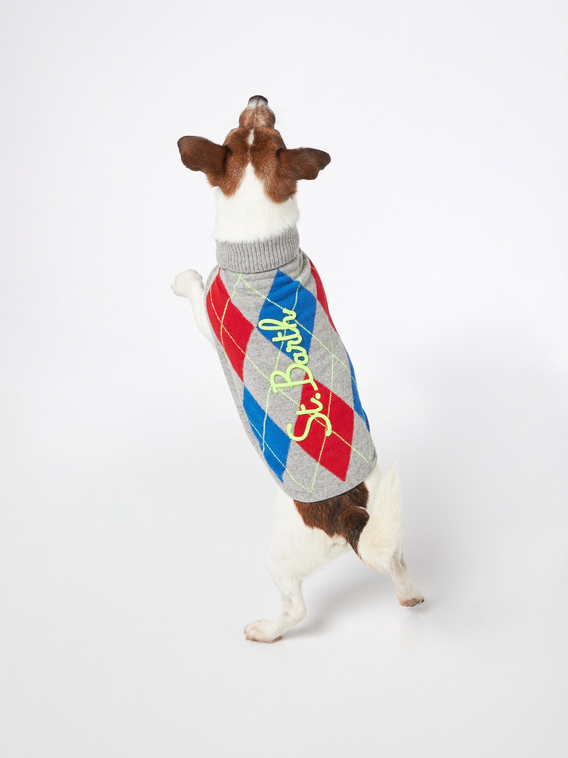 Dog sweater with argyle print - MC2 Saint Barth