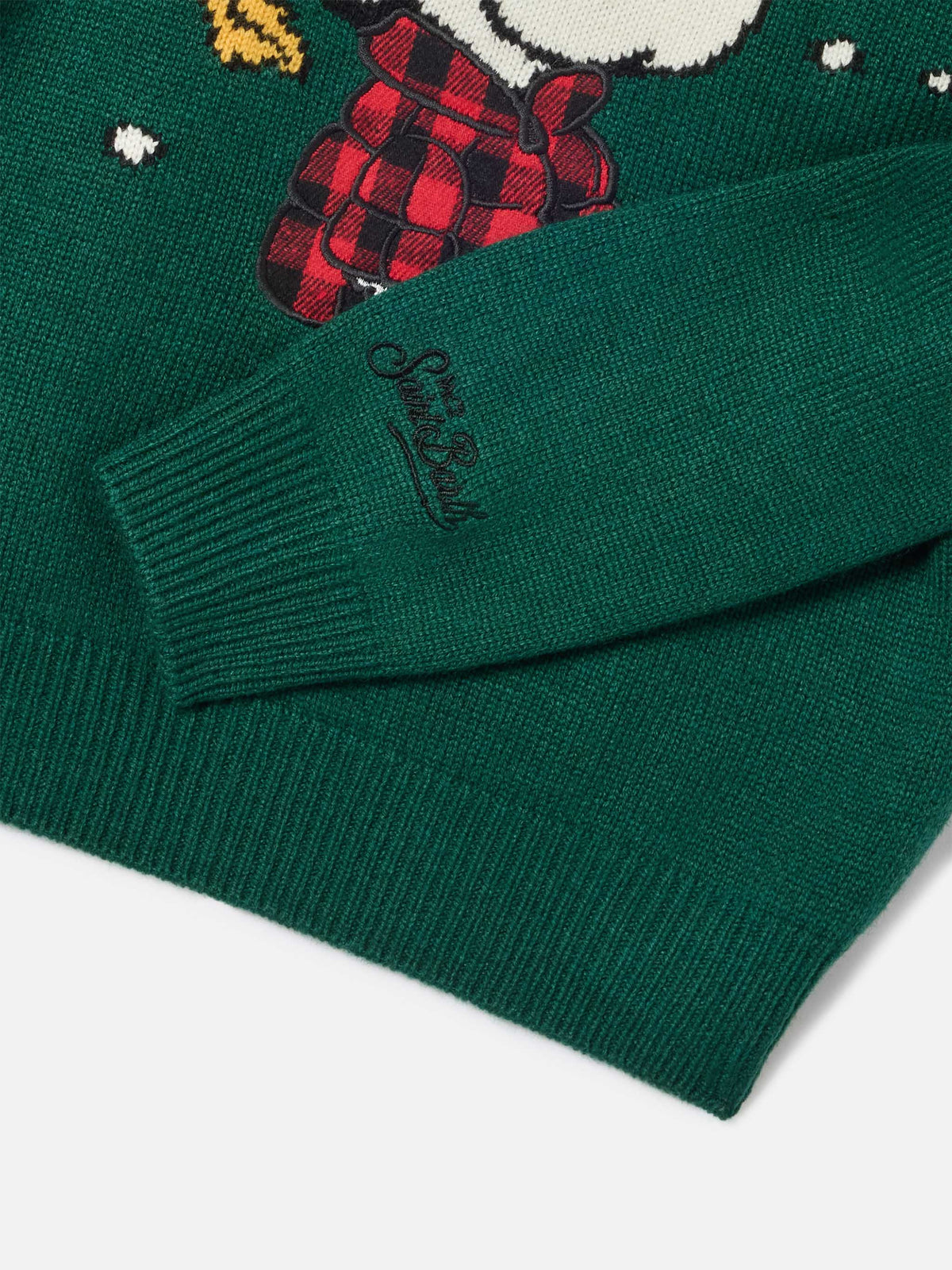Grüner Douglas Rundhals-Strickpullover mit Snoopy-Patch und Winter Mood-Stickerei | Special edition 