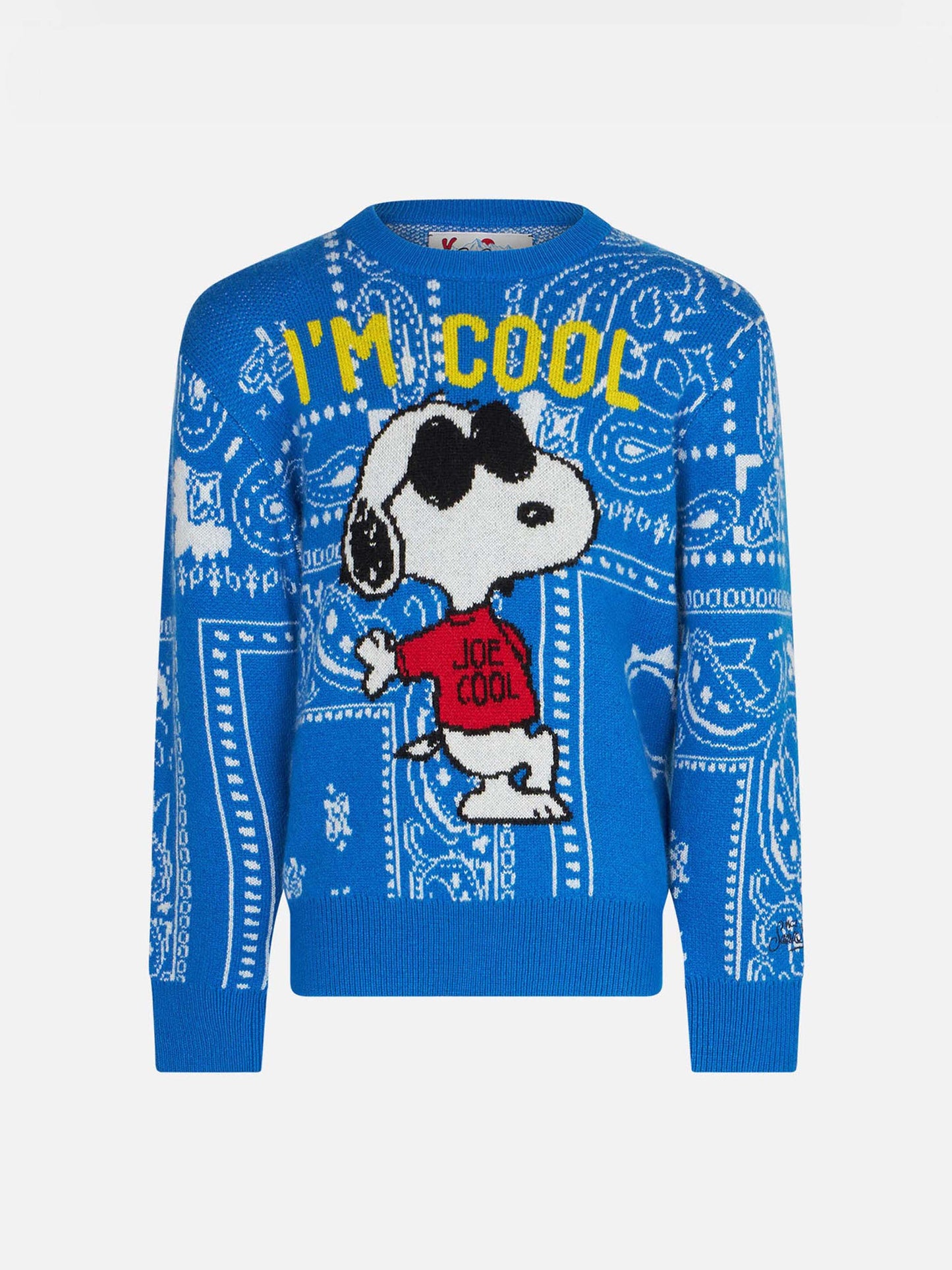 Boy crewneck sweater with Snoopy print  | PEANUTS™ SPECIAL EDITION