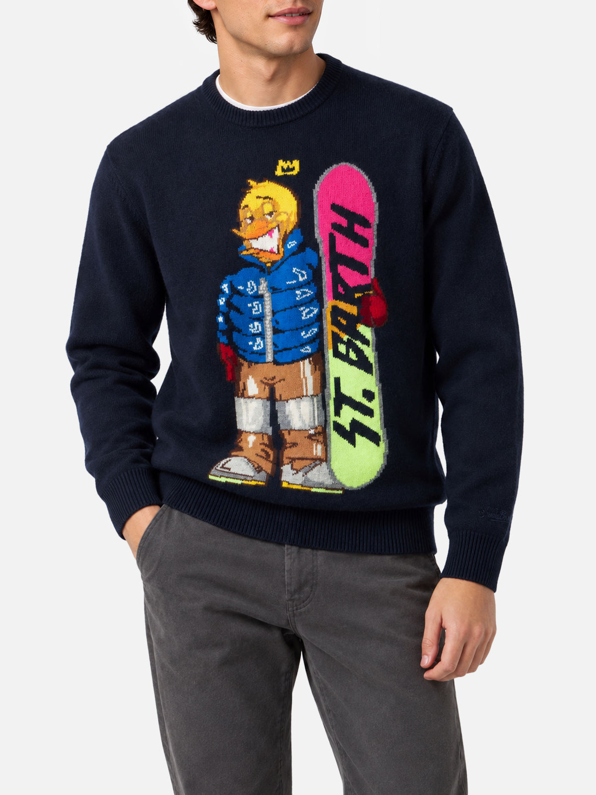 Heron Blue Crypto Ducky Snowboard-Pullover | Special Edition 