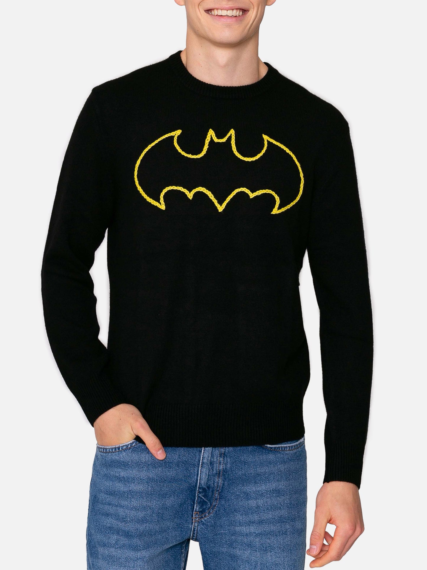 Crewneck sweater Heron woth Batman shape embroidery | WARNER BROS. SPECIAL EDITION