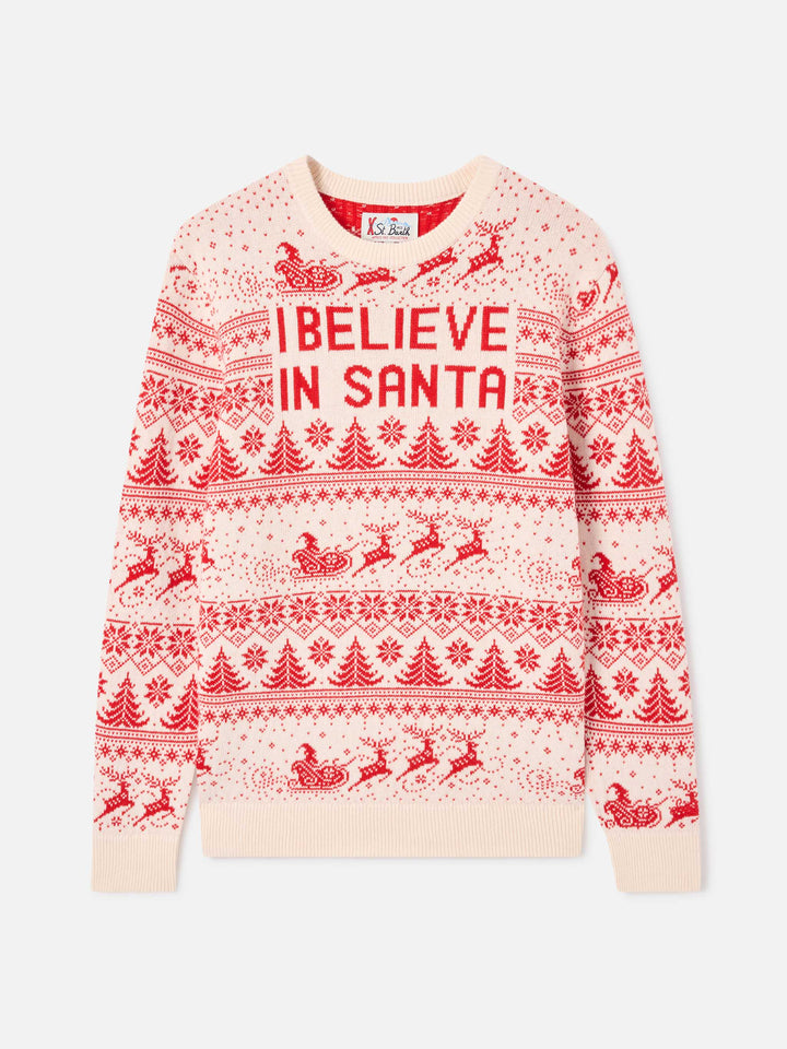Heron I believe in Santa sweater