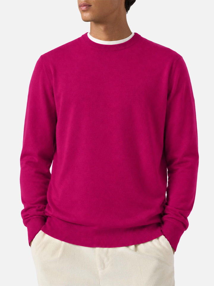 Maglione Regent Light peonia in lana merino