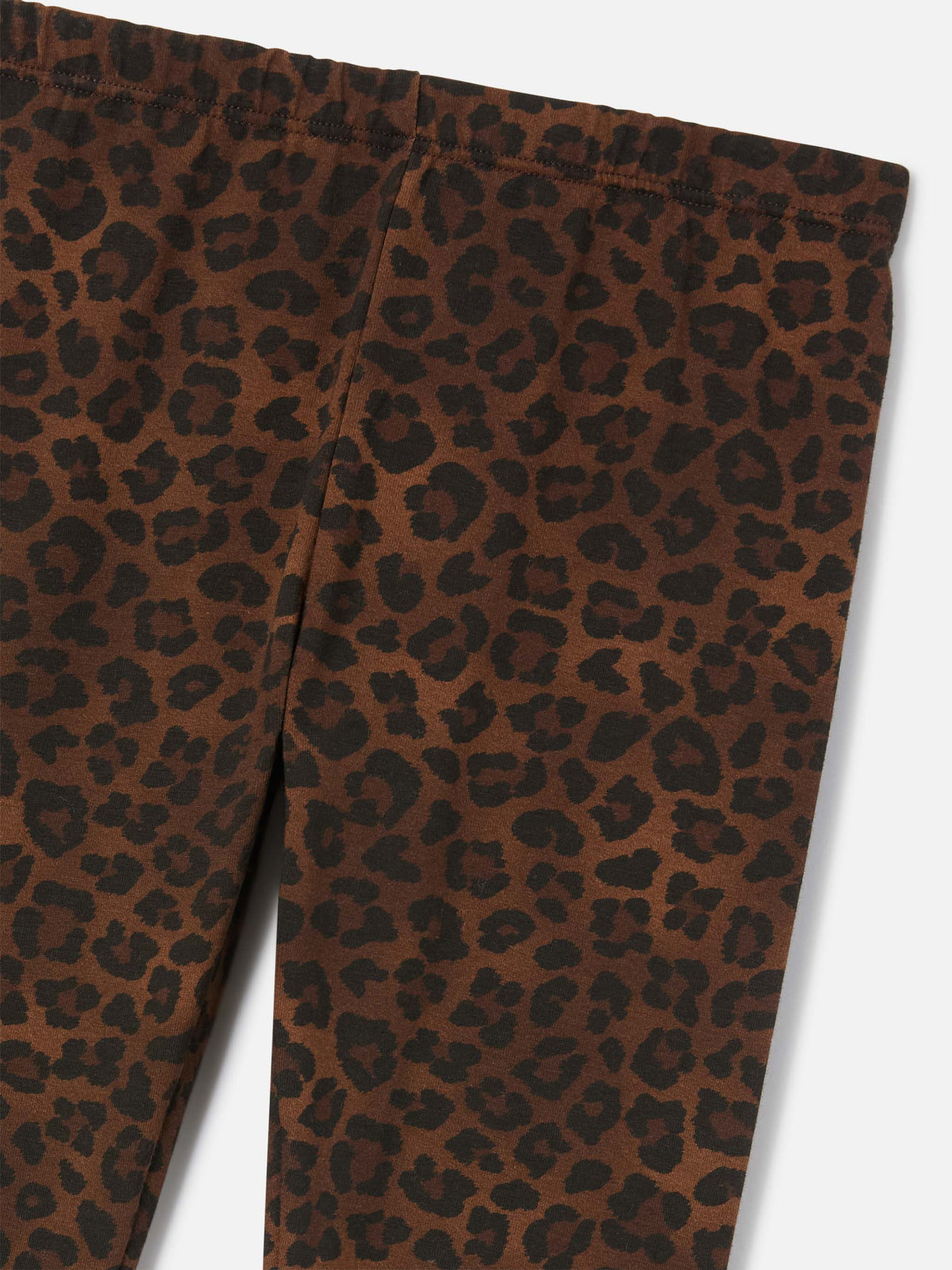 Leggings Rosy marroni in cotone con stampa leopardo