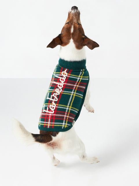 Dog sweater with tartan jacquard - MC2 Saint Barth
