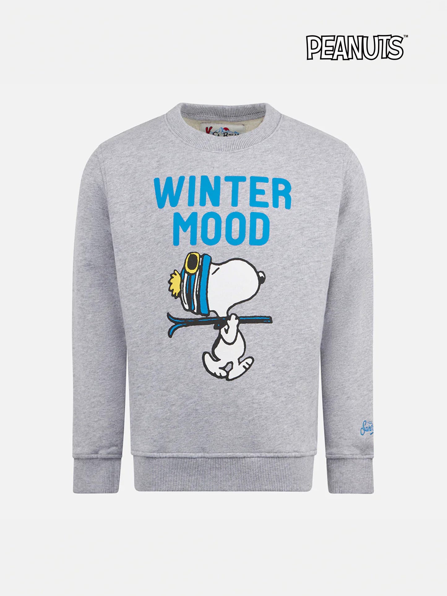 Boy crewneck grey sweatshirt with Snoopy print | SNOOPY PEANUTS™ SPECIAL EDITION