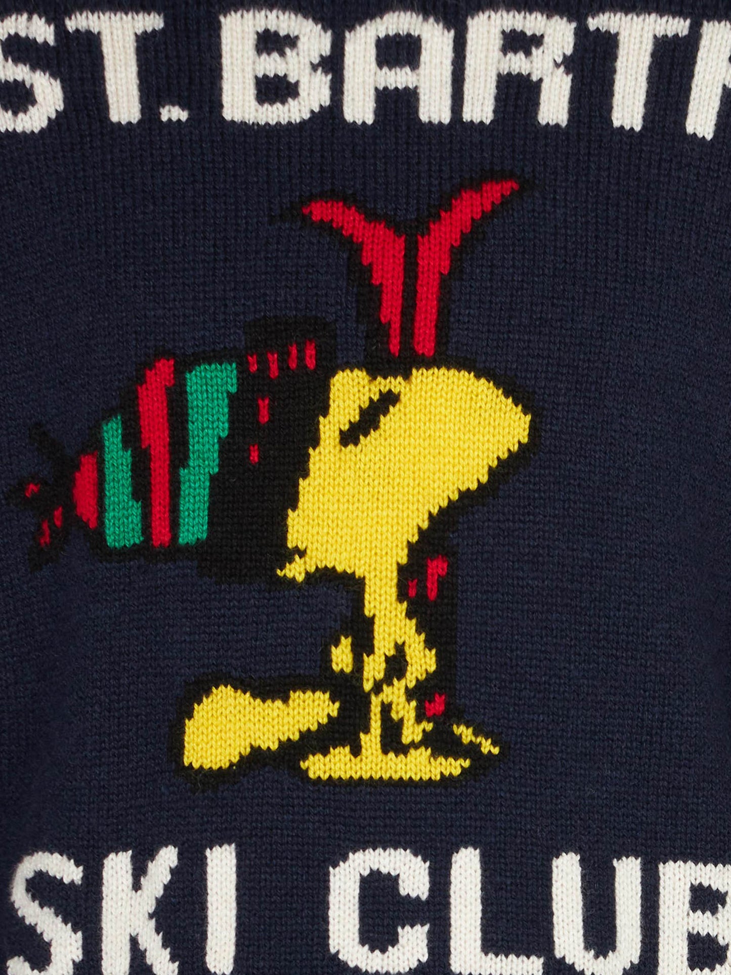 Boy crewneck sweater with Woodstock print | WOODSTOCK - PEANUTS™ SPECIAL EDITION - MC2 Saint Barth